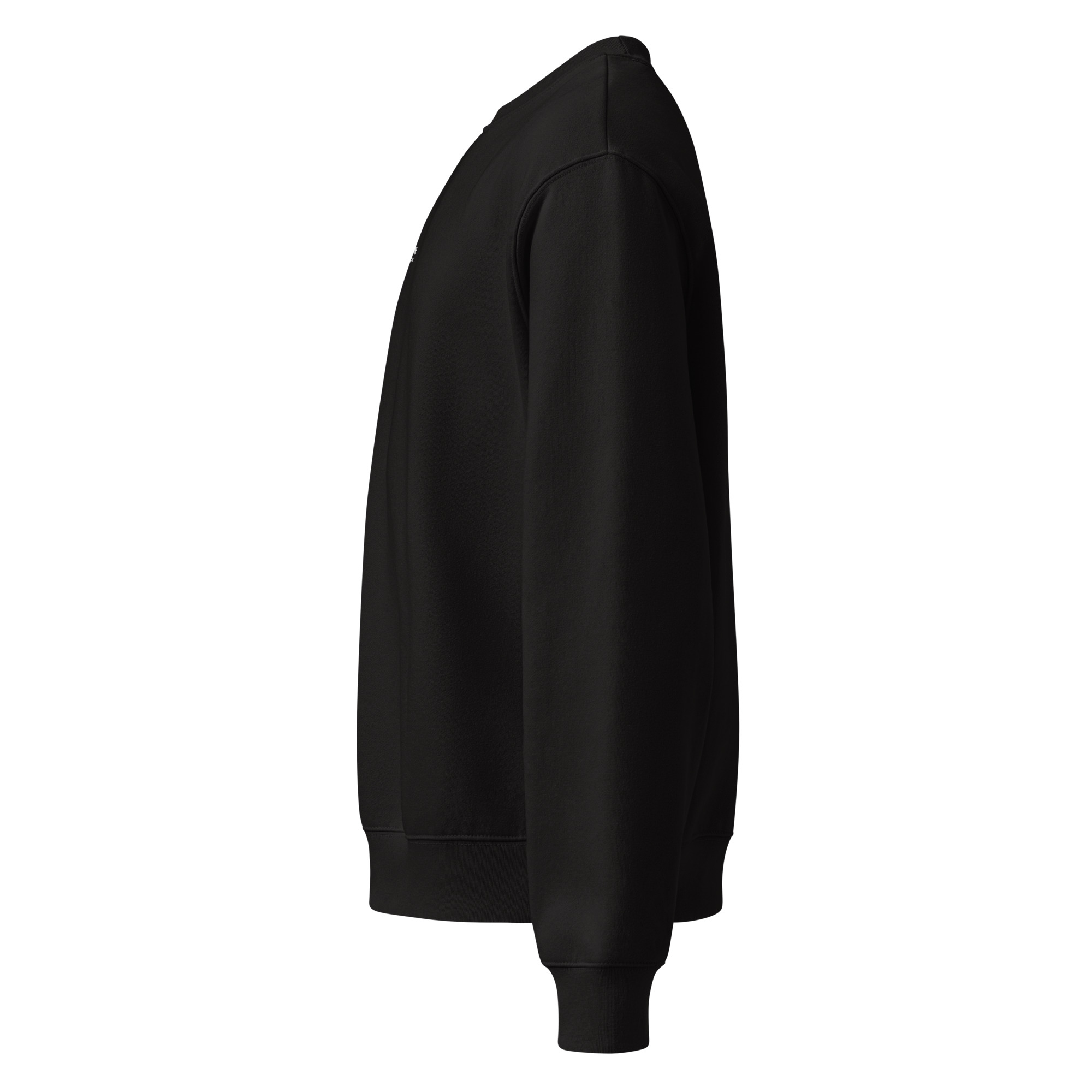 Embroidered Oversized heavyweight sweatshirt - Image 3